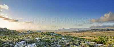 Buy stock photo The wilderness of Cape Point National Park, Western Cape, South Africa