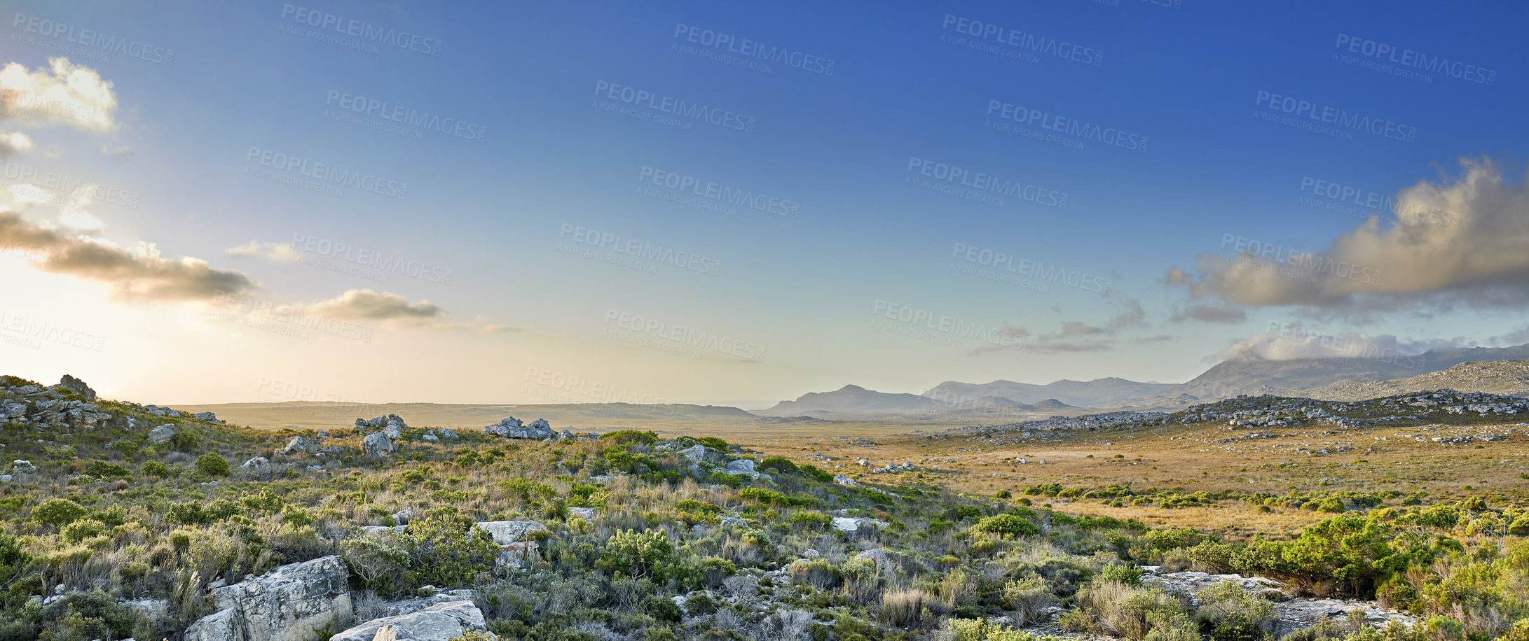 Buy stock photo The wilderness of Cape Point National Park, Western Cape, South Africa