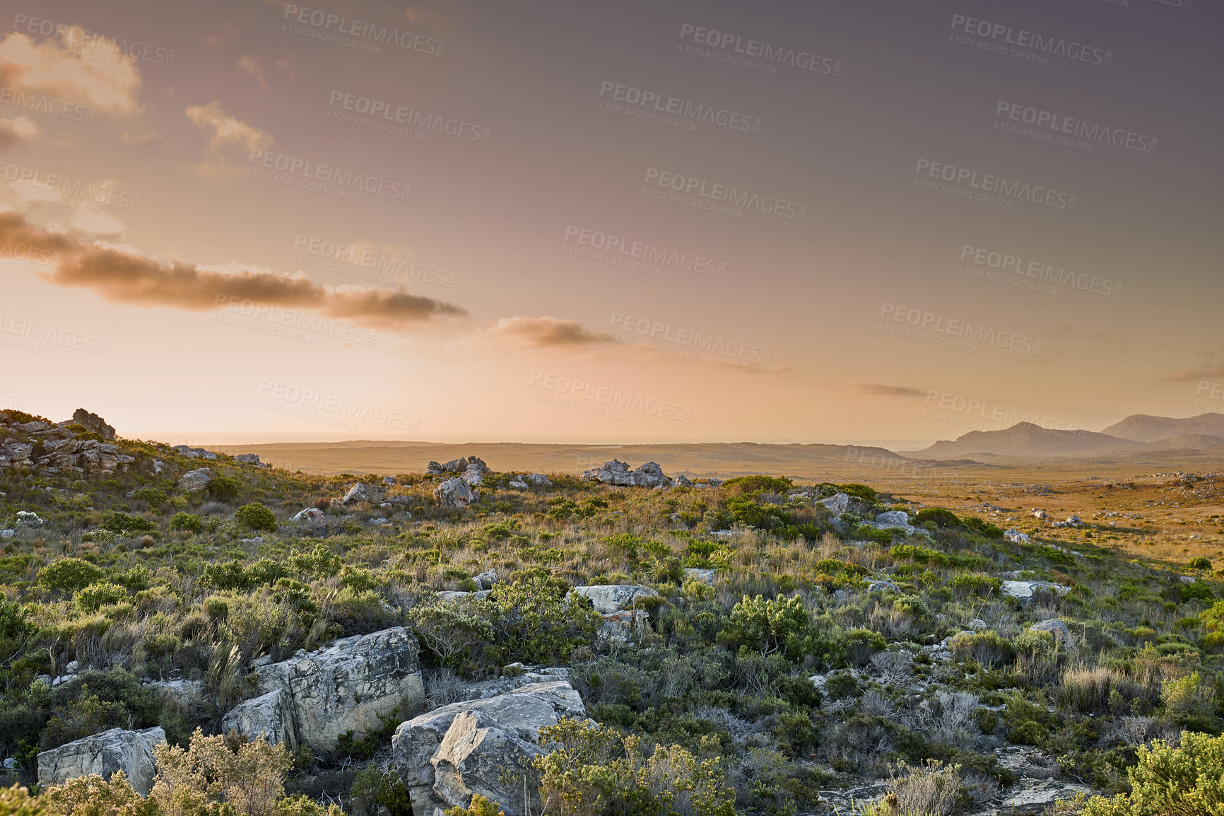 Buy stock photo The wilderness of Cape Point National Park, Western Cape, South Africa