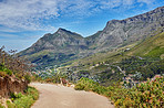 Table Mountain and surroundings  