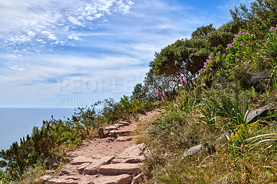 Buy stock photo Rocky mountain trail on sunny summer day in Cape Town South Africa. Hiking path next to colorful plants with ocean background. Isolate terrain found on Lion's Head in Table Mountain National Park
