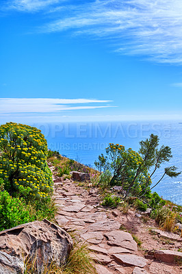 Buy stock photo Beautiful view of the ocean from a hiking trail on a cliff. Landscape of colourful wild flowers in nature at Table Mountain national park in Cape town on a sunny day with blue sky and copy space 