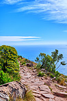 Mountain trails - Lion's Head and Table Mountaion