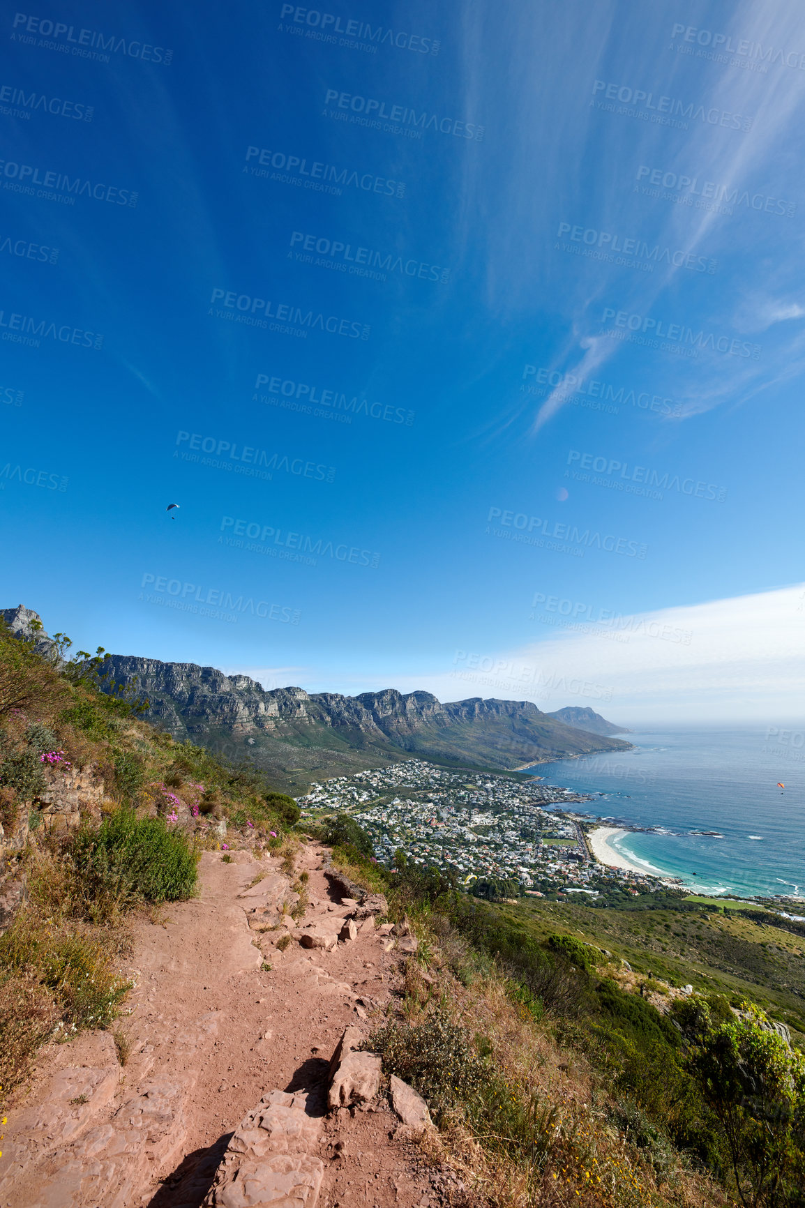 Buy stock photo Mountain trails on Lion's Head and Table Mountain in a National Park in Cape Town. A scenic view of a walking path in nature next to greenery and plants against a blue sky with copy space in summer