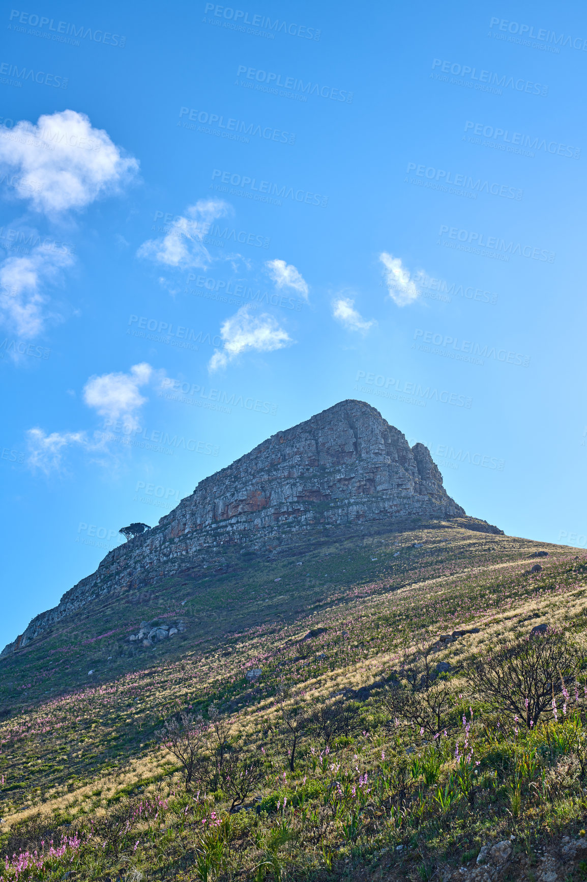Buy stock photo A photo of Lions Head and surroundings. Cape Town, Western Cape, South Africa.