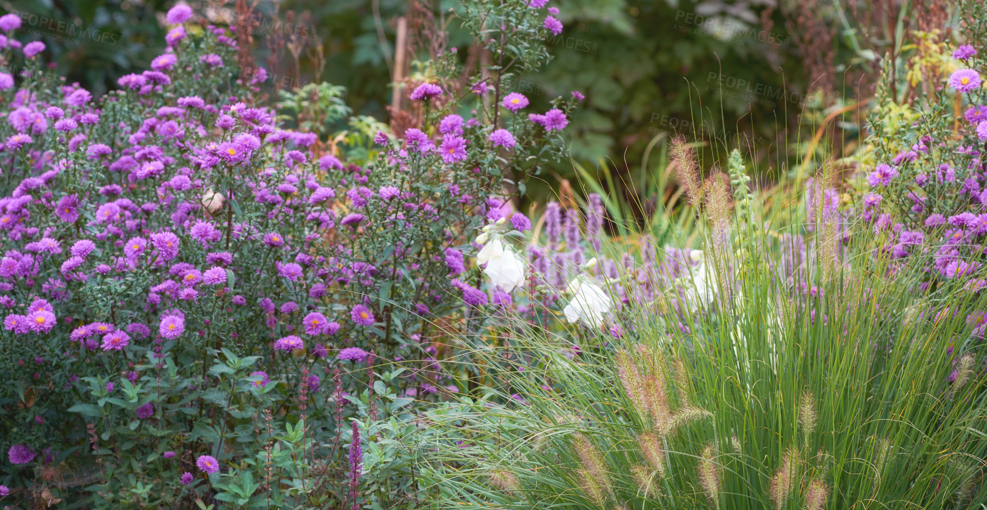 Buy stock photo A series of beautiful garden photos