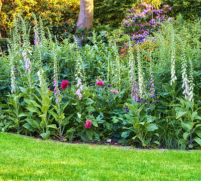 Buy stock photo A series of beautiful garden photos