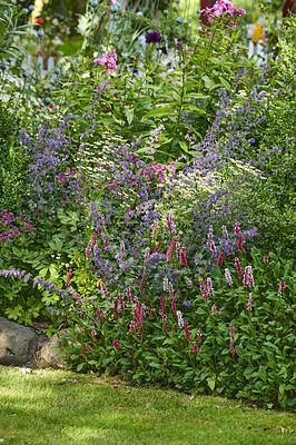 Buy stock photo A series of beautiful garden photos