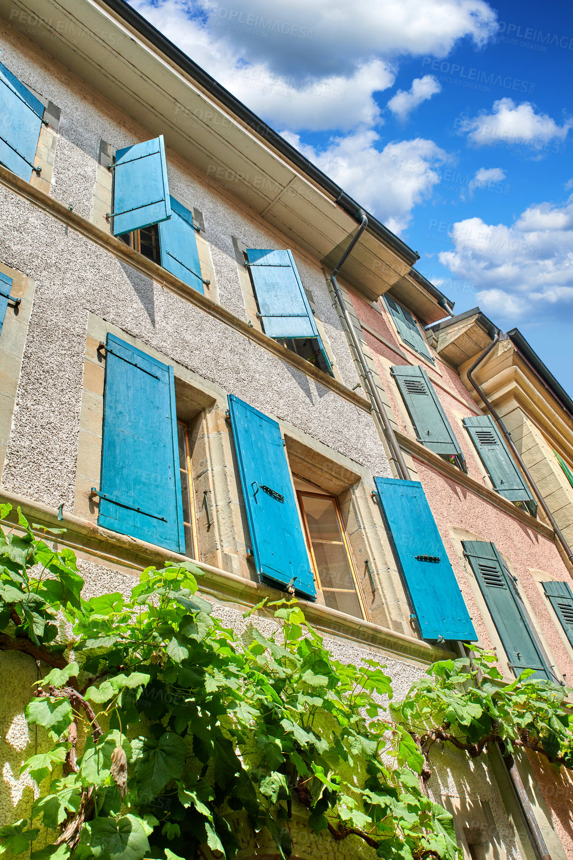 Buy stock photo The classical architecture of a tall residential building with overgrown green plants on the wall. The exterior of an old apartment block on a sunny day. Bottom view of antique city flats