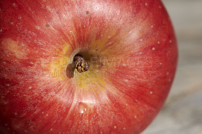 Buy stock photo Fresh apples in natural setting