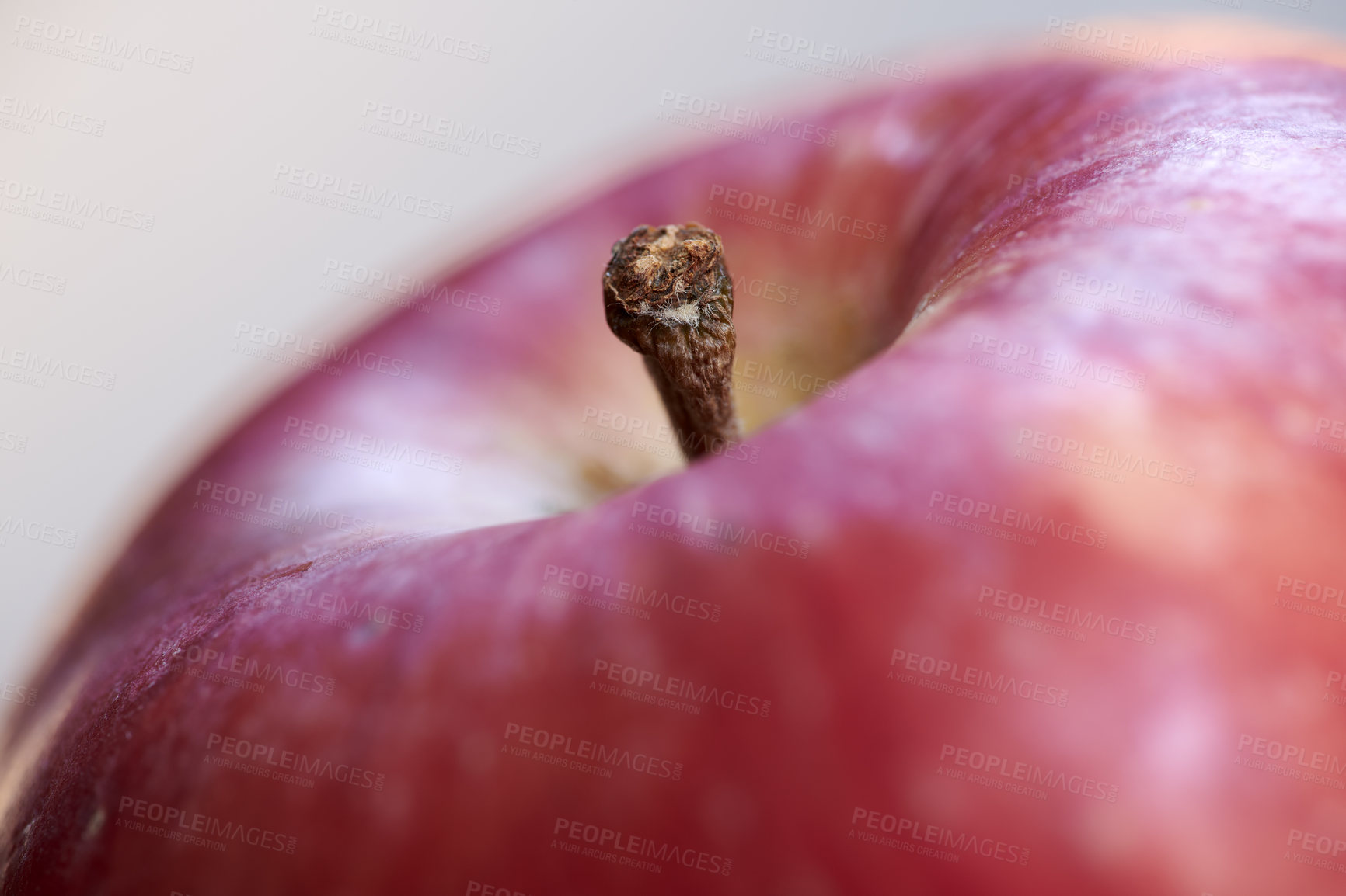 Buy stock photo Fresh apples in natural setting