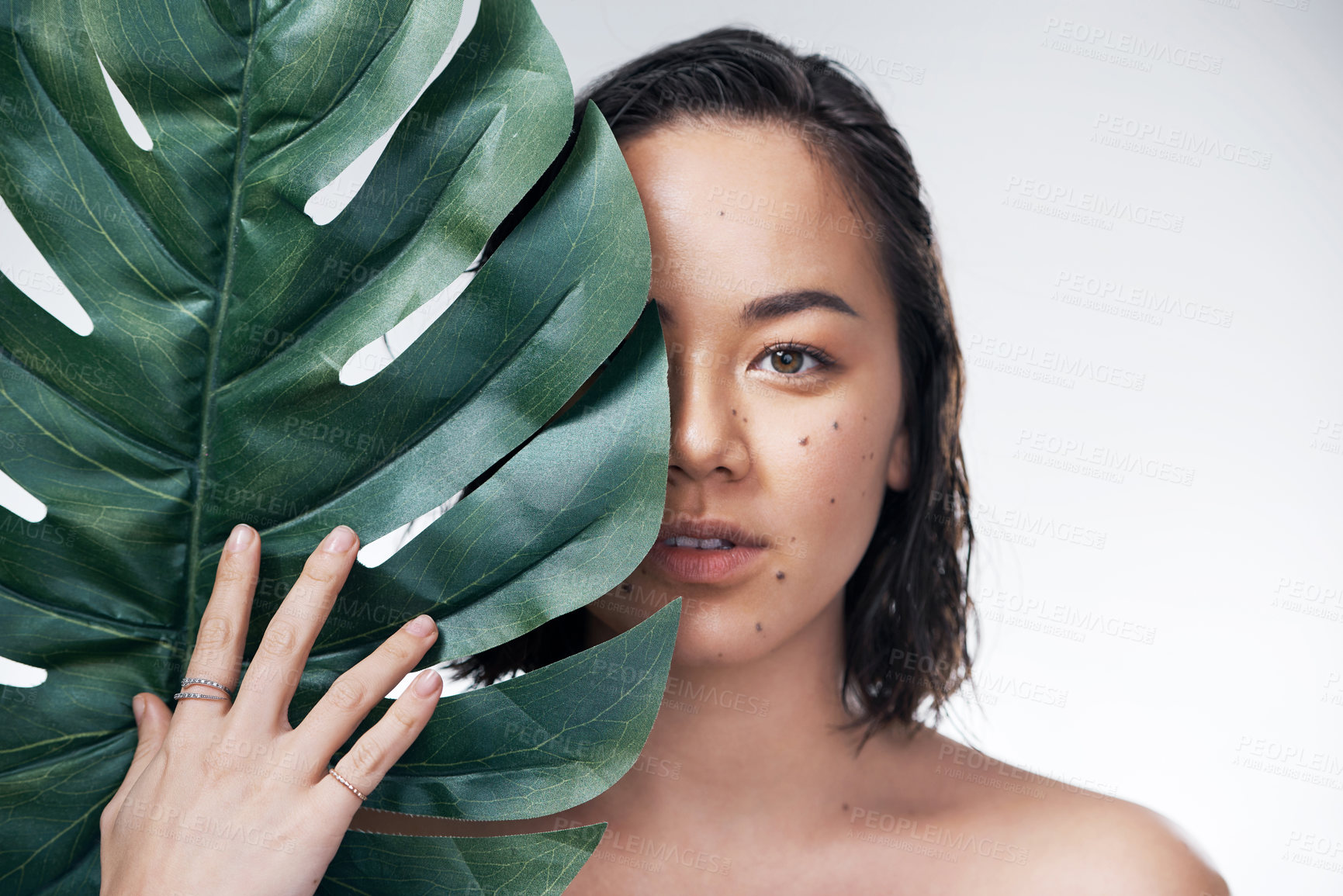 Buy stock photo Studio shot of a beautiful young woman holding a monstera leaf against her face