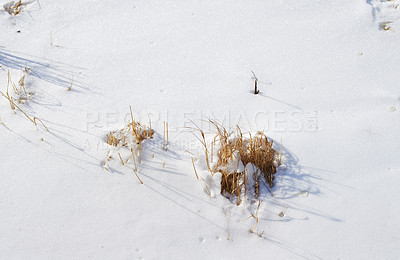 Buy stock photo Denmark in winter