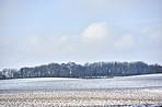 Wintertime in the countryside - Denmark