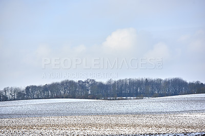 Buy stock photo Danish farmland in wintertime