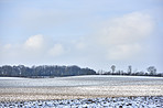 Wintertime in the countryside - Denmark