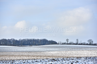 Buy stock photo Danish farmland in wintertime