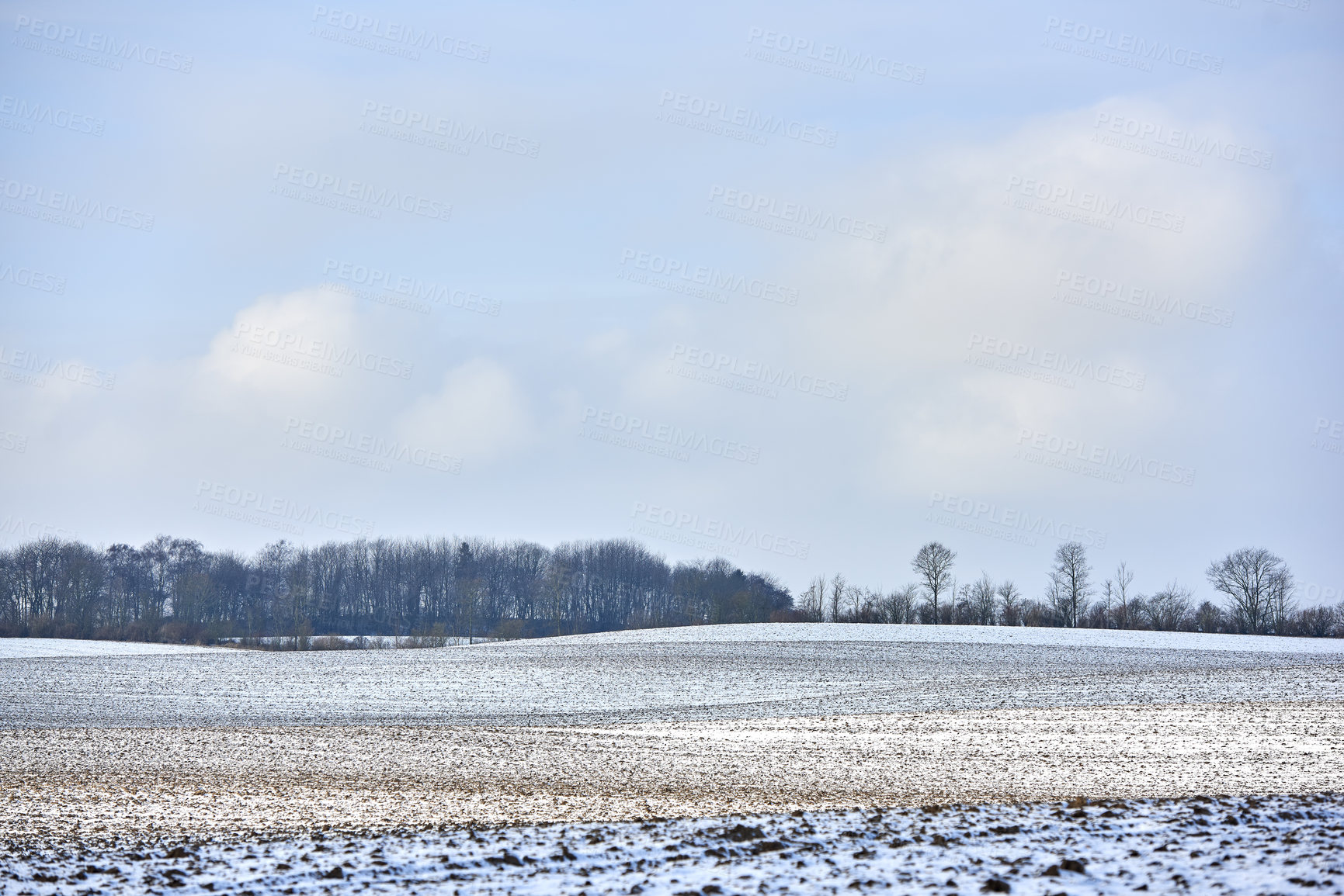 Buy stock photo Danish farmland in wintertime