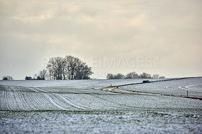 Buy stock photo Danish farmland in wintertime