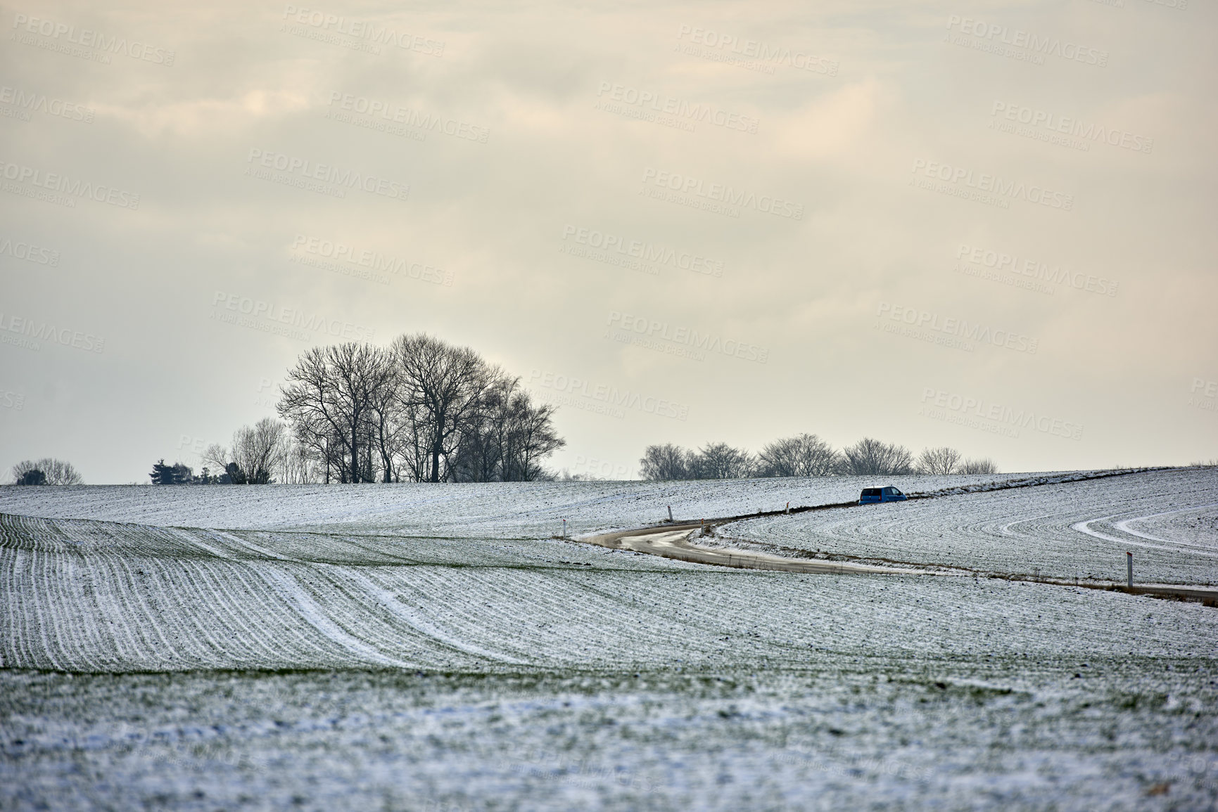 Buy stock photo Danish farmland in wintertime