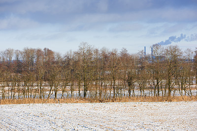 Buy stock photo Barren winter farm land with trees and cloudy sky background with copy space. Agricultural farmland with dry grass covered in snow. Cold temperature impact production decline in agriculture industry