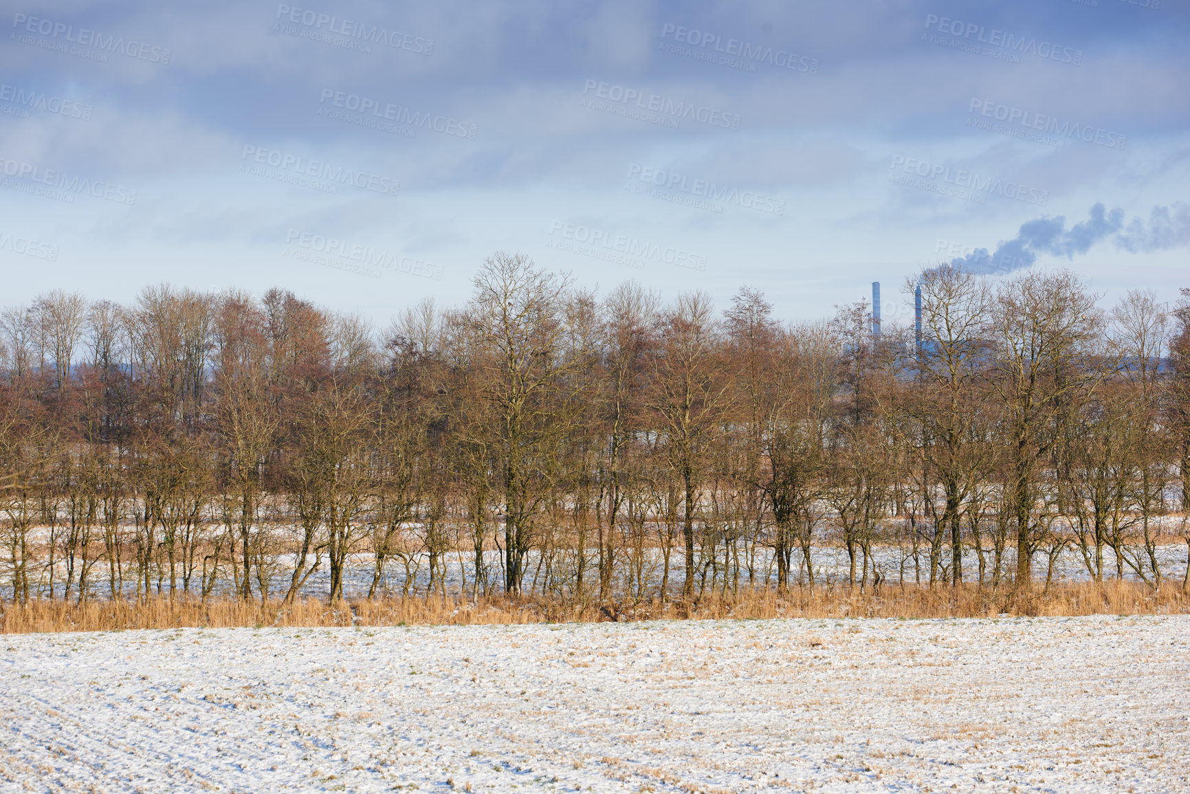 Buy stock photo Barren winter farm land with trees and cloudy sky background with copy space. Agricultural farmland with dry grass covered in snow. Cold temperature impact production decline in agriculture industry