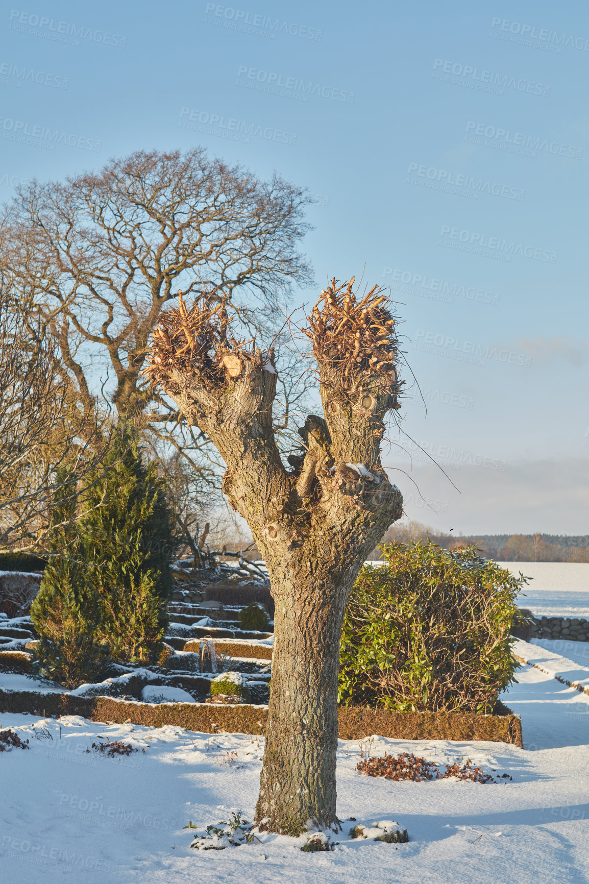 Buy stock photo Denmark in winter