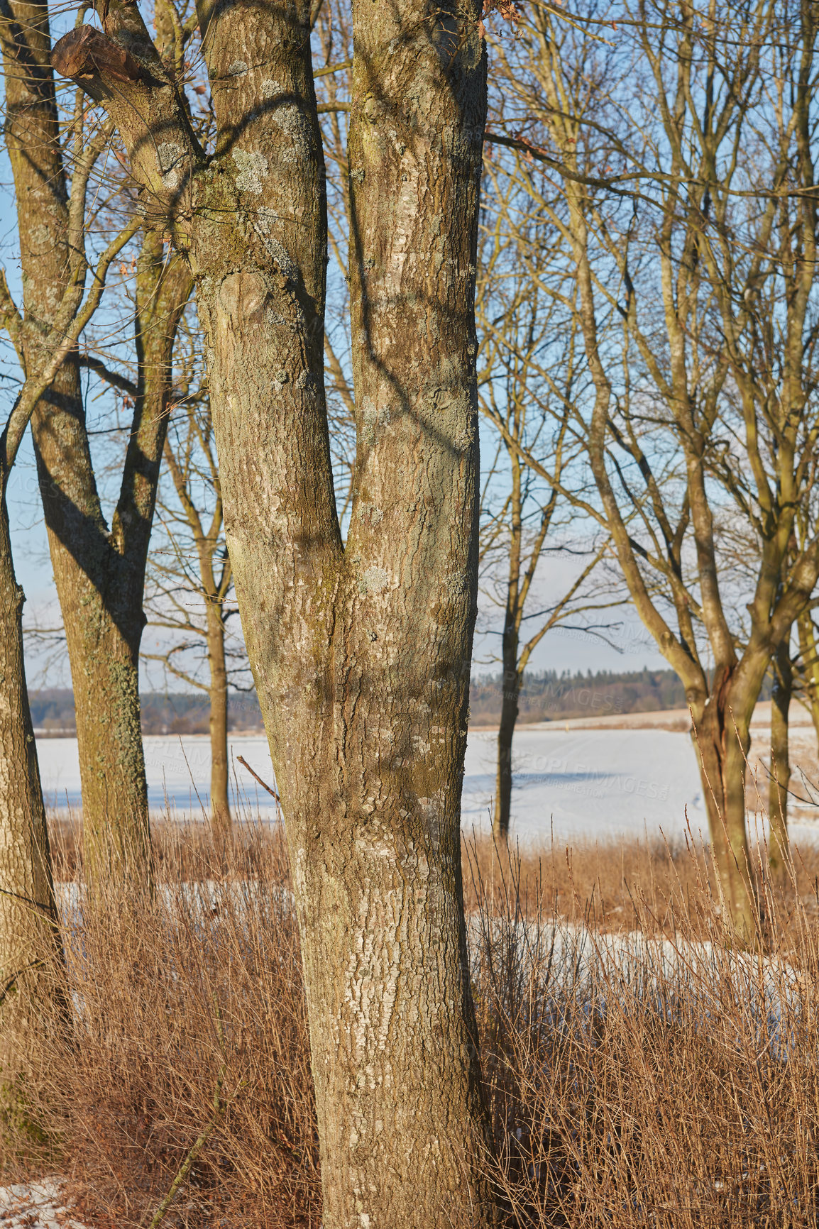 Buy stock photo Denmark in winter