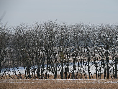 Buy stock photo Denmark in winter