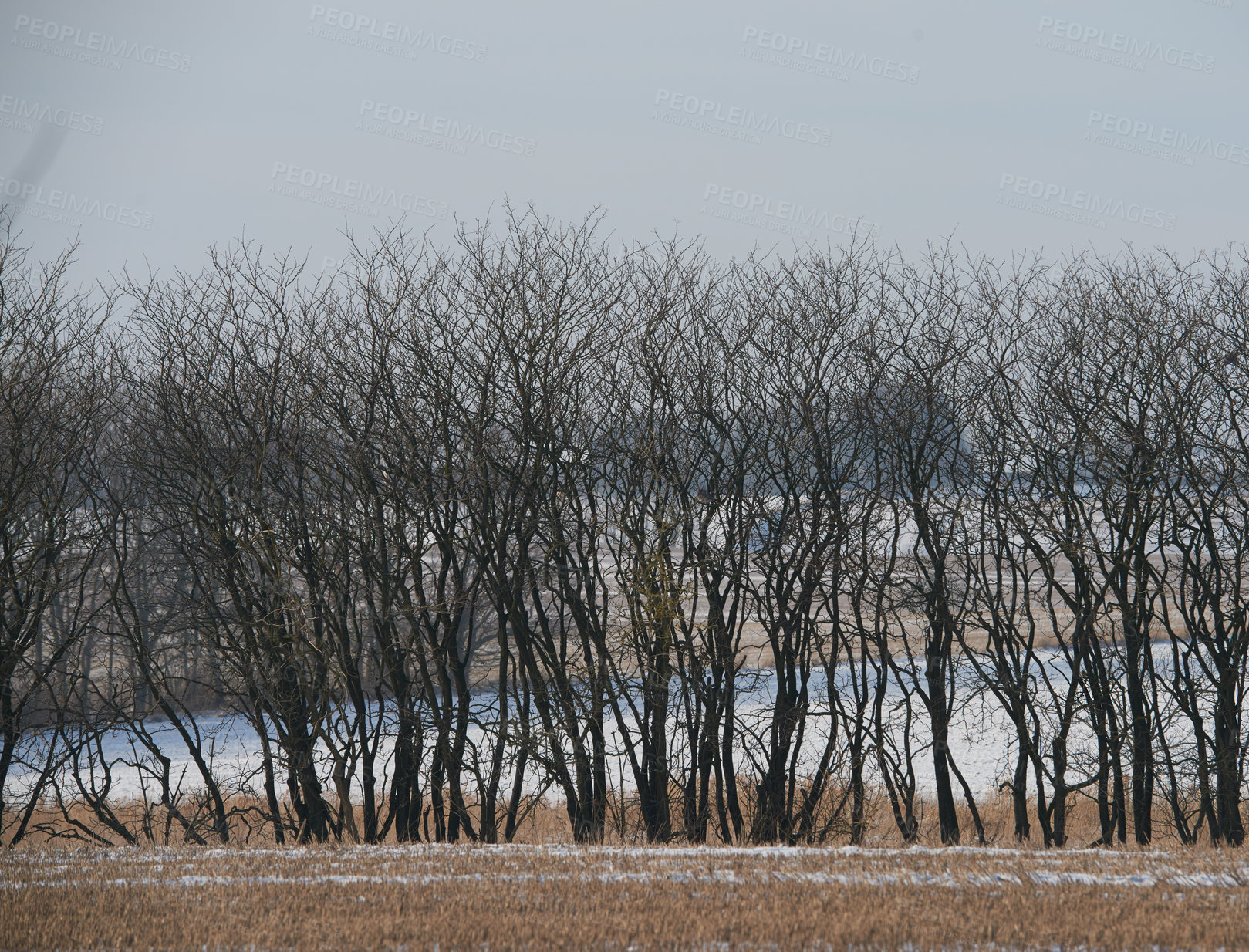 Buy stock photo Denmark in winter