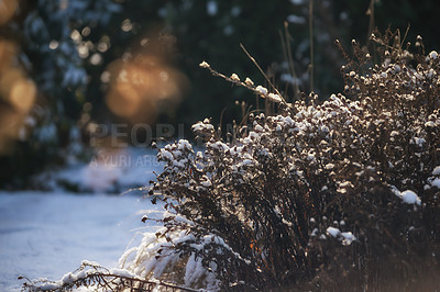 Buy stock photo Danish wintertime