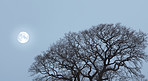 Wintertime in Denmark