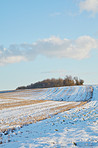 Wintertime in Denmark