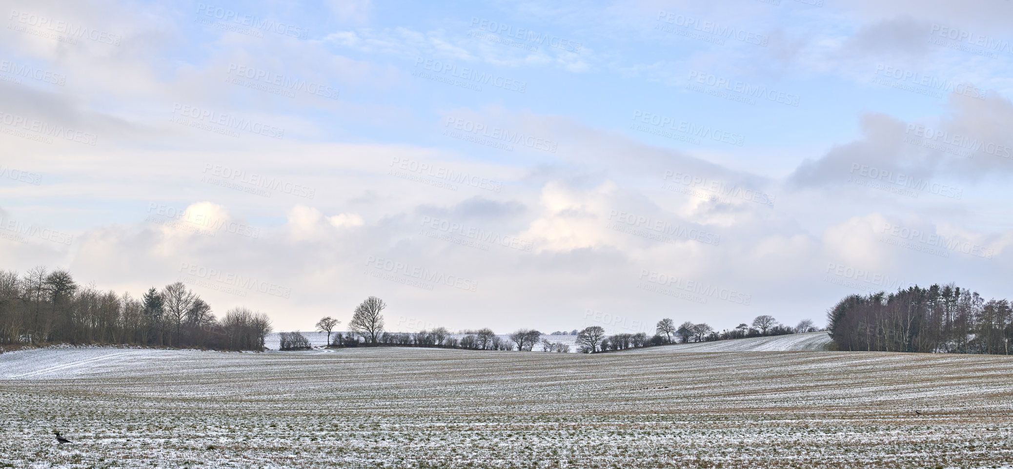 Buy stock photo Snow, countryside and trees in nature, cold and environment with ecosystem, forest or holiday. Empty, morning frost or ecology for winter, location or destination for tourism or vacation in Denmark