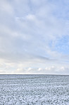 Wintertime in the countryside - Denmark