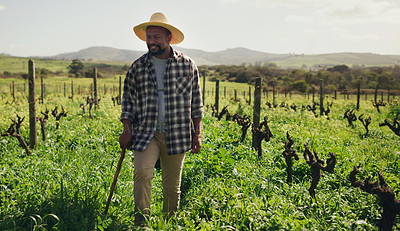 Buy stock photo Cane, agriculture and black man on farm for farming, nature or growth in countryside mockup. Walking stick, field and African male farmer with a disability, vegetables and sustainable plants for agro