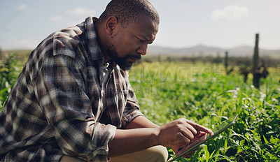 Buy stock photo Farm, tablet and a black man on a field for research in agriculture, sustainability or a crop during spring. Internet, technology and a male farmer working in the countryside for the harvest season