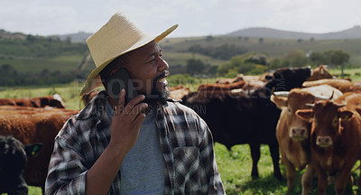 Buy stock photo Black man, farmer and phone call with cows in agriculture for conversation or communication in countryside. African male person talking on mobile smartphone with livestock for discussion on farm