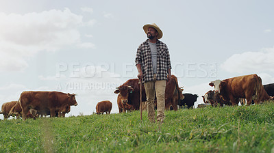 Buy stock photo Agriculture, cow and black man thinking on farm, walking with stick and farming mockup. Land, cattle and African male farmer with livestock eating on grass field for milk, beef and meat production.