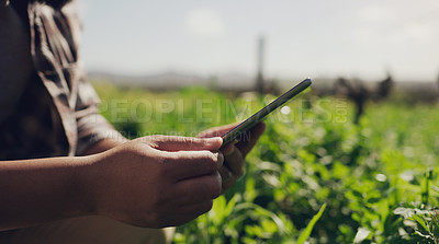 Buy stock photo Person, hands and agriculture with tablet for research, monitoring vegetation or plants on farm. Closeup of farmer with technology for data, production or farming for fresh produce or natural growth