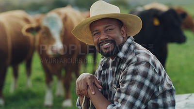 Buy stock photo Portrait of man, farmer or cows on farm agriculture for livestock, sustainability or business in countryside. Smile, dairy production or mature person farming cattle herd or animals on grass field