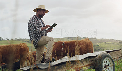 Buy stock photo Cattle planning, farm and a black man with a tablet for farming, agriculture research and sustainability. Smile, African farmer and typing on tech for sustainable business and animal development