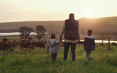 Buy stock photo Family, holding hands and a father walking on a farm with children for agriculture or sustainability. Back, farming and a dad with his kids in the meadow as a cow farmer in the countryside at sunset