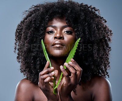Buy stock photo Shot of a beautiful young woman posing with an aloe vera plant against her skin