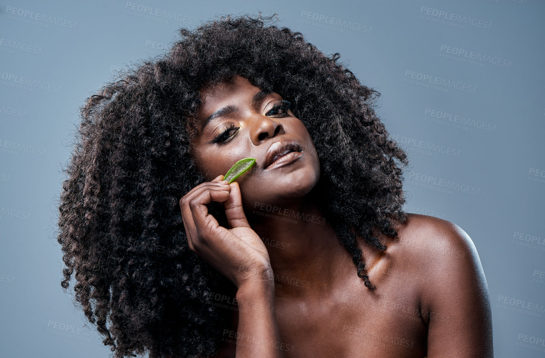 Buy stock photo Shot of a beautiful young woman posing with an aloe vera plant against her skin