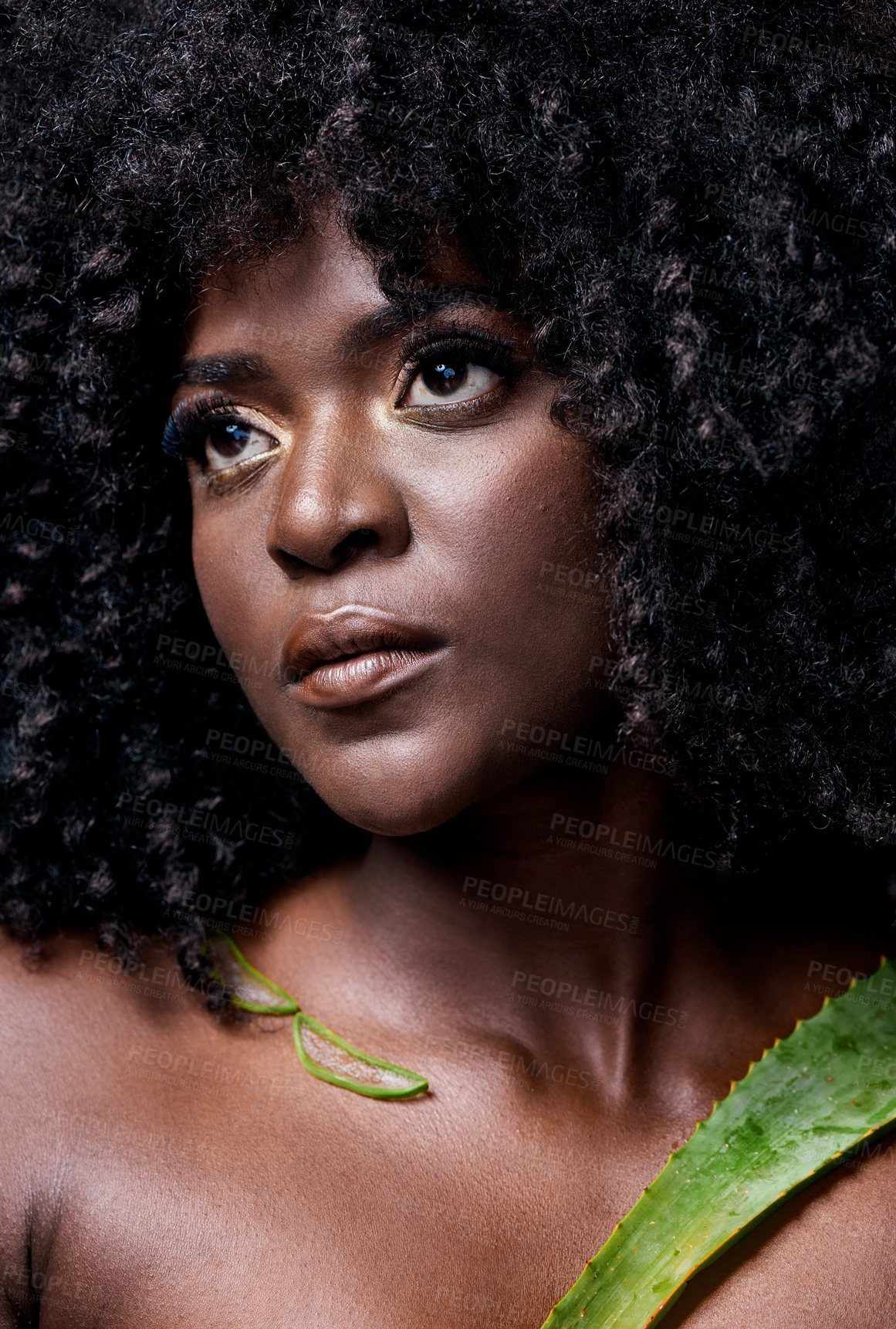 Buy stock photo Shot of a beautiful young woman posing with an aloe vera plant against her skin