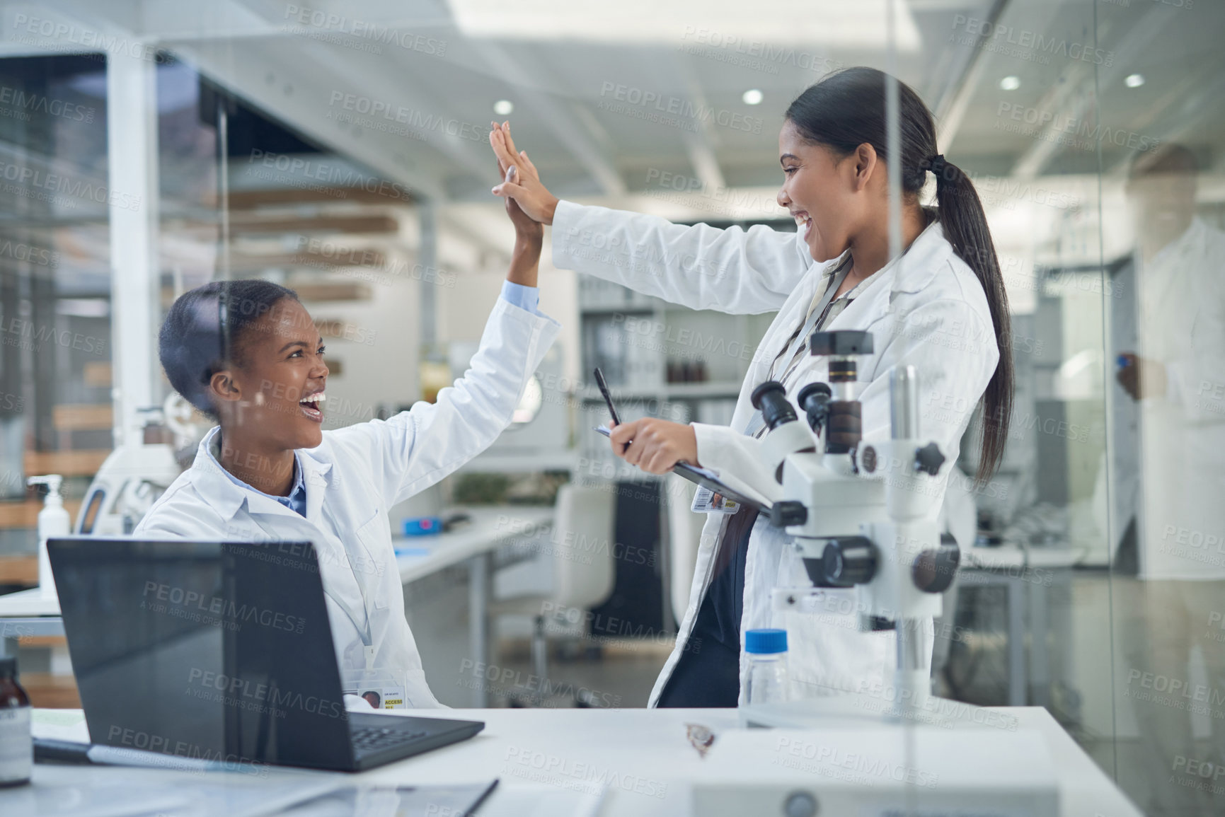 Buy stock photo Shot of two young scientists giving each other a high five while using a laptop in a laboratory