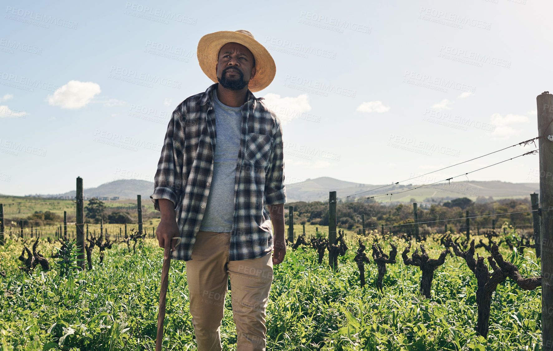 Buy stock photo Shot of a mature man working on a farm