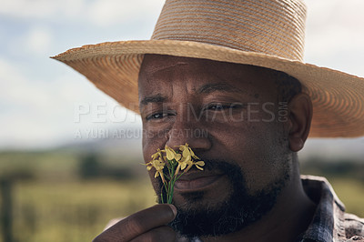 Buy stock photo Shot of a mature man spelling a freely picked crop while working on a farm