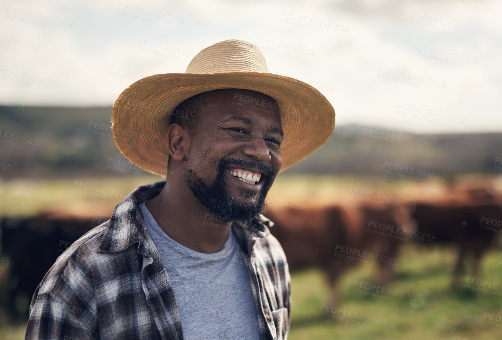 Buy stock photo Shot of a mature man working on a farm